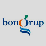 opinion logo bongrup