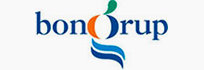 Expertos en la transformación digital 12 lsisoluciones 03 - logo bongrup