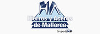 Expertos en la transformación digital 14 lsisoluciones 05 - Logo hierros y aceros