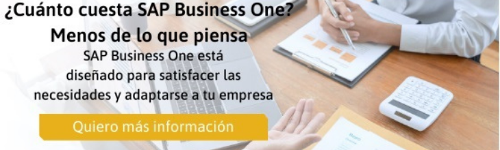 SAP Business One Antigua 1 lsisoluciones