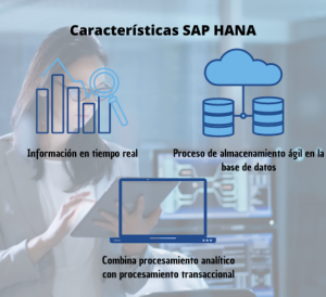 Caracteristicas Sap hana