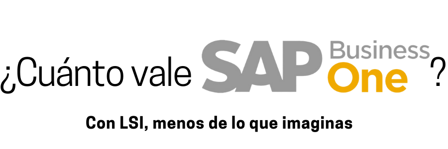 LSI-SAPbusinessone