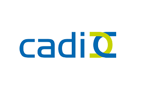 Consultoria, analisis y desarollo informatico cadinet